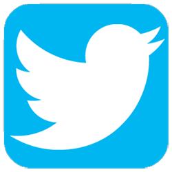 https://twitter.com/DrIanBSaltzman 
